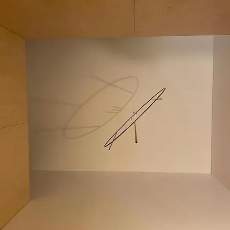 New! Your Best In 홈스테이